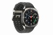 Samsung Galaxy Watch Ultra LTE Titanium Silver L705 hind ja info | Nutikellad, laste nutikellad | hansapost.ee