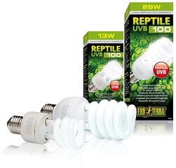 Террариумная лампа Reptile UVB100 26w PT2187 цена и информация | Товары для экзотических животных | hansapost.ee