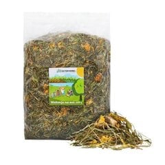 Toit närilistele ja küülikutele Factoryherbs Wakacje na wsi, 1,5 kg цена и информация | Корм для грызунов | hansapost.ee