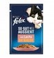 Purina Felix konserv kassidele veise-, kana-, lõhe- ja tuunikalaga, 44x85 g цена и информация | Kassikonservid | hansapost.ee