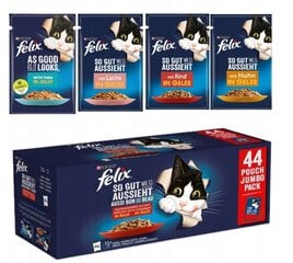 Консервы Purina Felix с говядиной, мясом курицы, лососем и тунцом, 44 x 85 гр цена и информация | Консервы для кошек | hansapost.ee