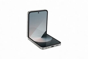 Samsung Galaxy Flip6 5G 256GB DS Silver Shadow F741B цена и информация | Мобильные телефоны | hansapost.ee