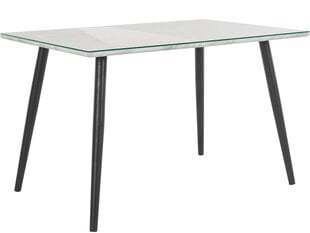 Столовый стол 120x80 см, белый цвет цена и информация | Кухонные и обеденные столы | hansapost.ee