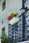 Nicoli riputatav lillekast koos alustaldrikuga Primavera Plus 60, pruun hind ja info | Lillekastid ja lillekastide alused | hansapost.ee