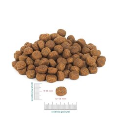 Perro Medium and large breeds vasikaliha ja maguskartuliga, 12 kg цена и информация | Сухой корм для собак | hansapost.ee