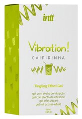 Erutav geel Vibration! Caipirinha, 15 ml hind ja info | Feromoon | hansapost.ee