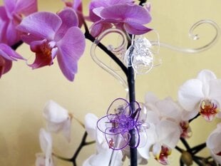 Orhidee kaunistusklamber hind ja info | Lillepotialused ja lillepotitarvikud | hansapost.ee
