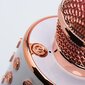 OEM CR58S, pink gold цена и информация | Mikrofonid | hansapost.ee