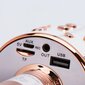 OEM CR58S, pink gold цена и информация | Mikrofonid | hansapost.ee