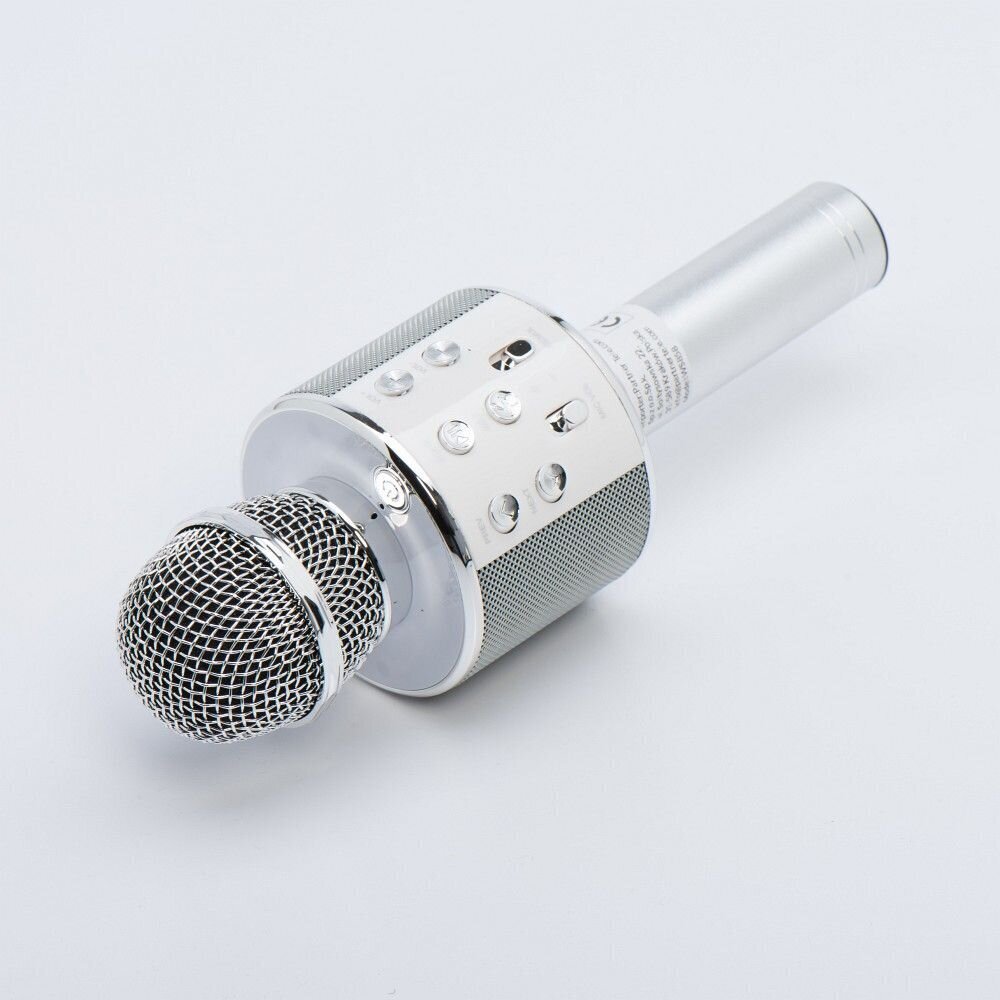 OEM CR58S, silver цена и информация | Mikrofonid | hansapost.ee