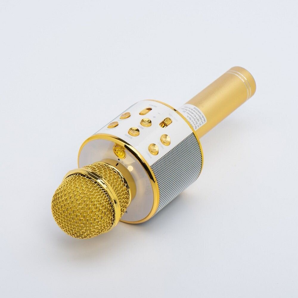 OEM CR58S, gold цена и информация | Mikrofonid | hansapost.ee