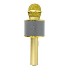 OEM CR58S, gold hind ja info | Mikrofonid | hansapost.ee