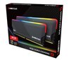 Biostar RGB Ddr4 Gaming X цена и информация | Operatiivmälu | hansapost.ee