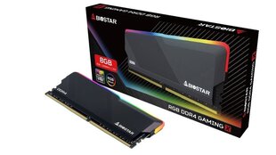 Biostar RGB Ddr4 Gaming X цена и информация | Объём памяти | hansapost.ee