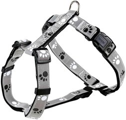 Нагрудный ремень: Trixie Silver Reflect H-Harness &quot;M-L&quot;, 50-75 см|25 мм цена и информация | Ошейники, подтяжки для собак | hansapost.ee