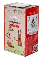 Bosch Sammy's Fruit Slices õunte ja mustikatega, 800 g hind ja info | Bosch Lemmikloomatarbed | hansapost.ee