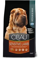 Farmina Pet Food SENSITIVE LAMB MEDIUM & MAXI 14 кг для взрослых цена и информация | Сухой корм для собак | hansapost.ee