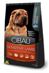 Farmina Pet Food SENSITIVE LAMB MEDIUM & MAXI 14 кг для взрослых цена и информация | Сухой корм для собак | hansapost.ee