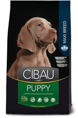 Farmina Cibau Puppy Maxi kana ja riisiga, 12 kg + 2 kg price and information | Koerte kuivtoit ja krõbinad | hansapost.ee