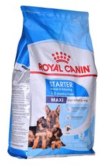 Royal Canin SHN Maxi starter kanaga, 4 kg hind ja info | Koerte kuivtoit ja krõbinad | hansapost.ee