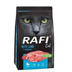 Dolina Noteci Rafi Cat lambalihaga, 7 kg price and information | Kassi kuivtoit ja kassikrõbinad | hansapost.ee