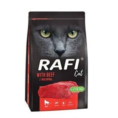 Dolina Noteci Rafi Cat veiselihaga, 7 kg hind ja info | Kassi kuivtoit ja kassikrõbinad | hansapost.ee