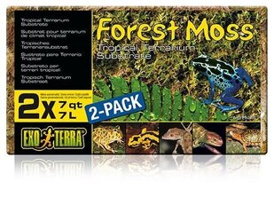 Мох Exo Terra Forest Moss, 2х7л цена и информация | Товары для экзотических животных | hansapost.ee