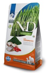 Farmina N&D Spirulina Adult Med/Maxi heeringaga, 7 kg hind ja info | Koerte kuivtoit ja krõbinad | hansapost.ee