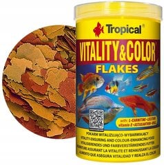 Toit kaladele Tropical Vitality&Color, 1000ml price and information | Kalade toit | hansapost.ee