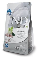 N&D DOG SPIRULINA SEA BASS FENNEL SOFT&SHINY WHITE COAT MINI для взрослых собак мелких пород, 2kг цена и информация | Сухой корм для собак | hansapost.ee