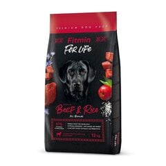 Фитмин для собак For Life Beef &amp; Rice 12кг цена и информация | Сухой корм для собак | hansapost.ee