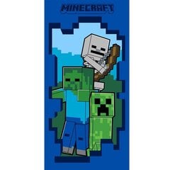 Полотенце Minecraft 30x50cm цена и информация | Полотенца | hansapost.ee