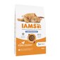IAMS Advanced Nutrition Light/Sterilised steriliseeritud kassidele kanaga, 10 kg hind ja info | Kassi kuivtoit ja kassikrõbinad | hansapost.ee