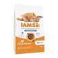 IAMS Advanced Nutrition Light/Sterilised steriliseeritud kassidele kanaga, 10 kg цена и информация | Kassi kuivtoit ja kassikrõbinad | hansapost.ee