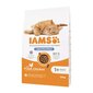 IAMS Advanced Nutrition Light/Sterilised steriliseeritud kassidele kanaga, 10 kg цена и информация | Kassi kuivtoit ja kassikrõbinad | hansapost.ee