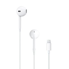 Apple EarPods (Lightning Connector) MWTY3ZM/A цена и информация | Наушники | hansapost.ee