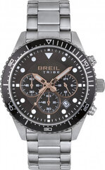 Мужские часы Breil EW0580 цена и информация | Мужские часы | hansapost.ee