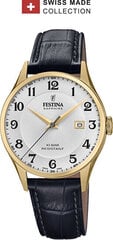 Festina Сделано в Швейцарии 20010/1 цена и информация | Мужские часы | hansapost.ee