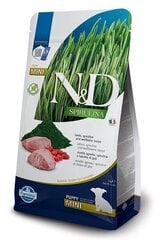 Farmina N&D Spirulina Puppy Mini lambalihaga, 2 kg hind ja info | Koerte kuivtoit ja krõbinad | hansapost.ee