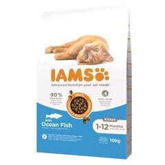 Сухой корм для котят - IAMS CAT KITTEN OCEAN FISH, 10 KG цена и информация | Сухой корм для кошек | hansapost.ee