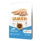 IAMS for Vitality noortele kassidele ookeanikalaga, 10 kg цена и информация | Kassi kuivtoit ja kassikrõbinad | hansapost.ee