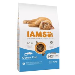 Сухой корм для котят - IAMS CAT KITTEN OCEAN FISH, 10 KG цена и информация | Сухой корм для кошек | hansapost.ee