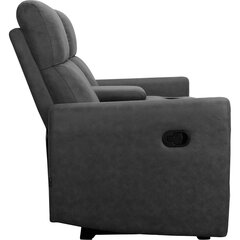 Двойной кресло-реклайнер Loft24 Dacoulas, серый цена и информация | Кресла | hansapost.ee