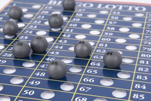 Lauamäng Spinmaster Game Bingo Lotto, 6065517 hind ja info | Lauamängud ja mõistatused perele | hansapost.ee