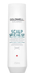 Kõõmavastane šampoon Goldwell Dualsenses Scalp Specialist, 250 ml hind ja info | Šampoonid | hansapost.ee