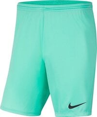 Lühikesed püksid poistele Nike Park III Knit Jr BV6865-354, roheline hind ja info | Lühikesed püksid poistele | hansapost.ee