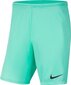 Lühikesed püksid poistele Nike Park III Knit Jr BV6865-354, roheline цена и информация | Lühikesed püksid poistele | hansapost.ee