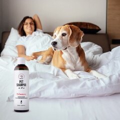 Šampoon lemmikloomadele Pets Vitamin, 250 ml price and information | Karvahoolduseks | hansapost.ee