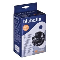 Filtrikassett Hydor Bluballs, 300 g hind ja info | Akvaariumid ja lisatarvikud | hansapost.ee