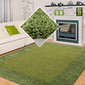 Vaip Ayyildiz LIFE green, 60x110 cm hind ja info | Vaibad | hansapost.ee